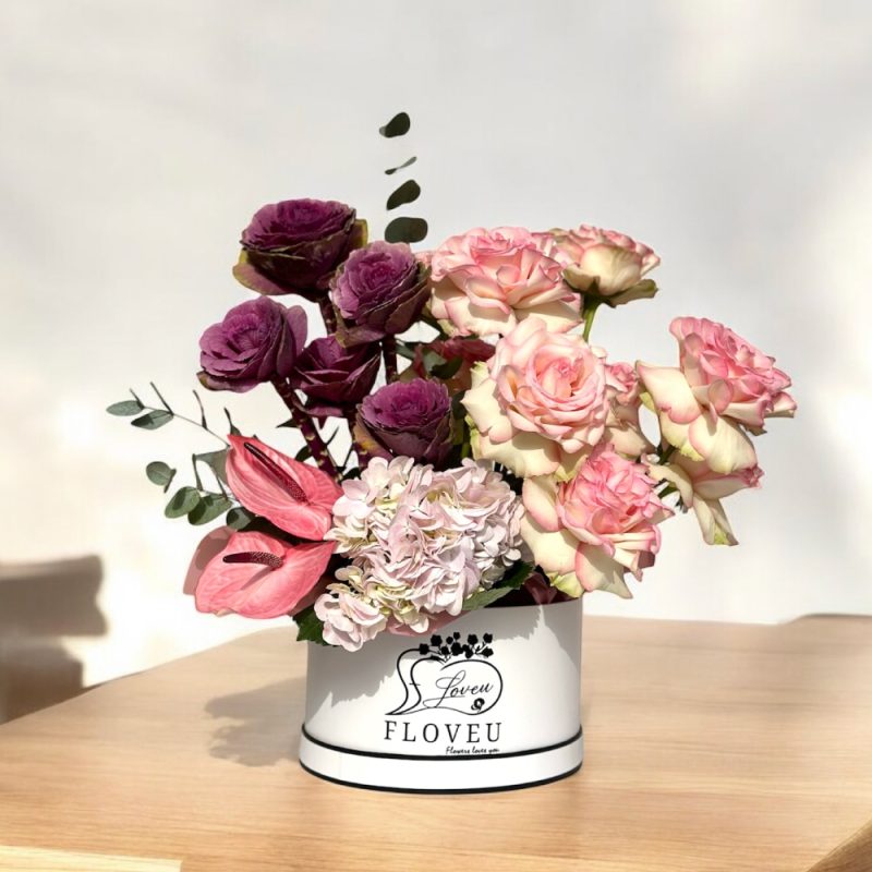 Brassica Dream <br> FLV-0135