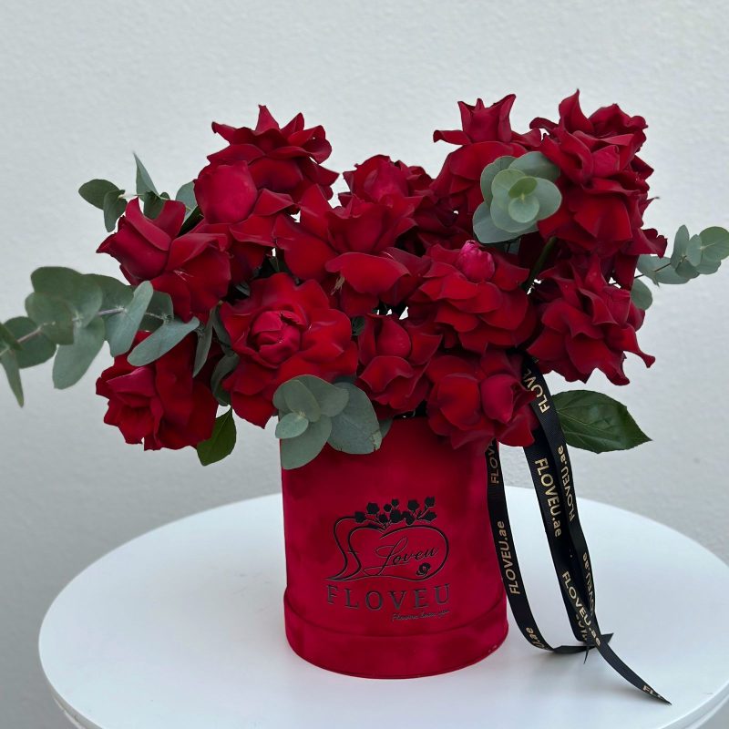 25 Red roses in red box <br> FLV-0231