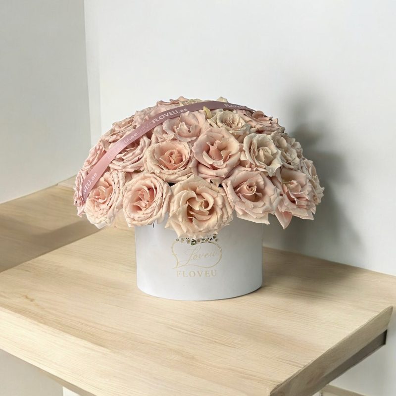 Quicksand Rose in box <br> FLV-0234