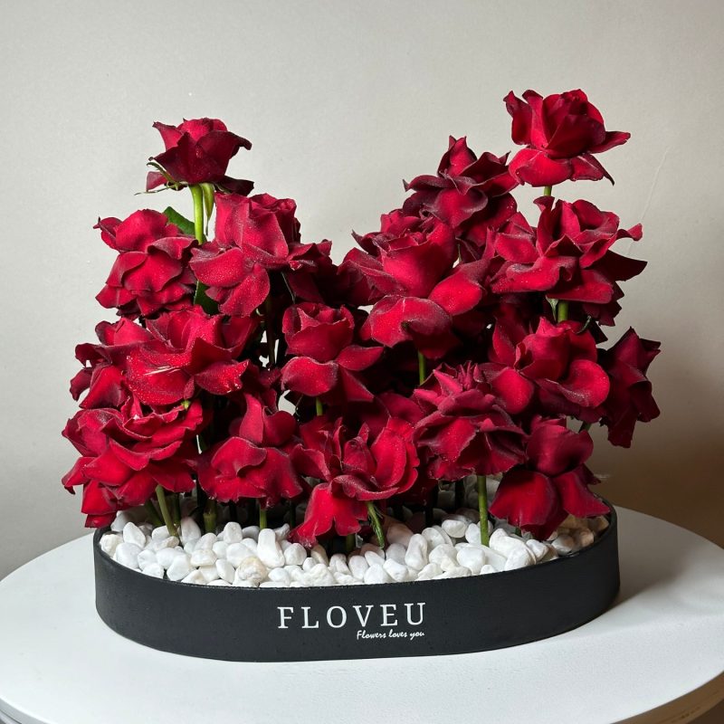 Scarlet Tray <br> FLV-0239