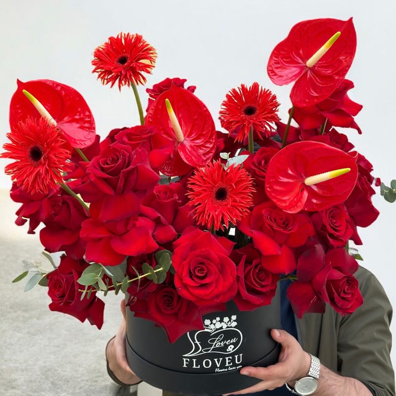 Love Aura <br> FLV-0241