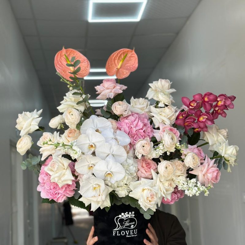 Orchid Delight <br> FLV-0294