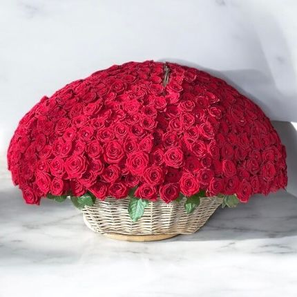 500 Red Rose In Basket <br> FLV-0262