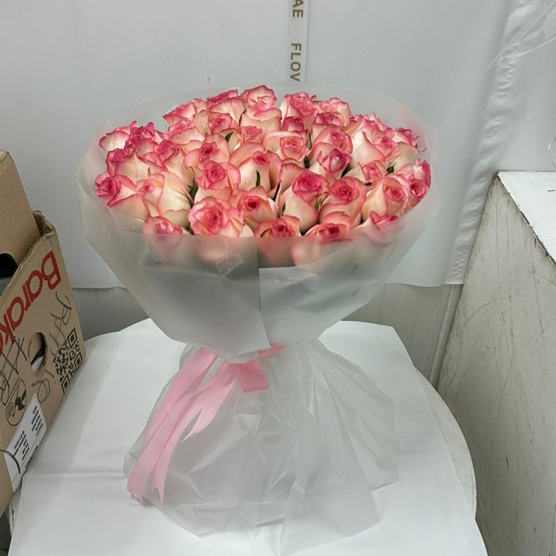 50 Jumila Pink Roses FLV-0329